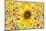 Sunflowers Are Beautiful-Ata Alishahi-Mounted Giclee Print