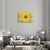 Sunflowers Are Beautiful-Ata Alishahi-Giclee Print displayed on a wall