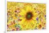 Sunflowers Are Beautiful-Ata Alishahi-Framed Giclee Print