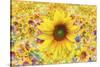 Sunflowers Are Beautiful-Ata Alishahi-Stretched Canvas