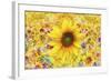 Sunflowers Are Beautiful-Ata Alishahi-Framed Giclee Print