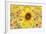 Sunflowers Are Beautiful-Ata Alishahi-Framed Giclee Print