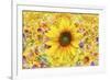 Sunflowers Are Beautiful-Ata Alishahi-Framed Giclee Print