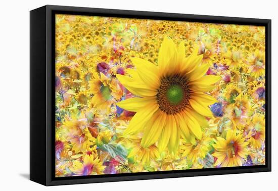 Sunflowers Are Beautiful-Ata Alishahi-Framed Stretched Canvas