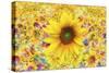 Sunflowers Are Beautiful-Ata Alishahi-Stretched Canvas