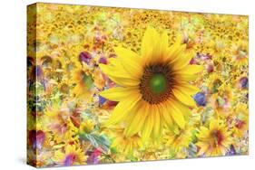 Sunflowers Are Beautiful-Ata Alishahi-Stretched Canvas