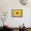 Sunflowers Are Beautiful-Ata Alishahi-Framed Stretched Canvas displayed on a wall