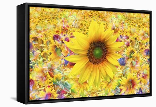 Sunflowers Are Beautiful-Ata Alishahi-Framed Stretched Canvas