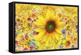 Sunflowers Are Beautiful-Ata Alishahi-Framed Stretched Canvas