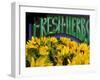 Sunflowers at Ferry Building Farmer's Market, San Francisco, California, USA-Inger Hogstrom-Framed Photographic Print