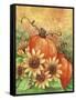 Sunflowers Autumn-Melinda Hipsher-Framed Stretched Canvas