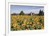 Sunflowers & Barn, Owosso, MI ‘10-Monte Nagler-Framed Photographic Print