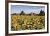 Sunflowers & Barn, Owosso, MI ‘10-Monte Nagler-Framed Photographic Print