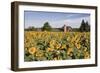 Sunflowers & Barn, Owosso, MI ‘10-Monte Nagler-Framed Photographic Print