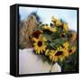 Sunflowers Being Carried by Grower, Washington State, USA-Aaron McCoy-Framed Stretched Canvas