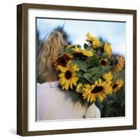 Sunflowers Being Carried by Grower, Washington State, USA-Aaron McCoy-Framed Photographic Print