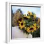 Sunflowers Being Carried by Grower, Washington State, USA-Aaron McCoy-Framed Photographic Print