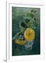 Sunflowers by Oda Krohg-Harald Oscar Sohlberg-Framed Giclee Print