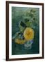 Sunflowers by Oda Krohg-Harald Oscar Sohlberg-Framed Giclee Print