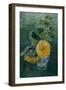 Sunflowers by Oda Krohg-Harald Oscar Sohlberg-Framed Giclee Print