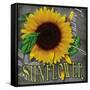 Sunflowers Chalkboard-Asmaa’ Murad-Framed Stretched Canvas