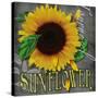 Sunflowers Chalkboard-Asmaa’ Murad-Stretched Canvas