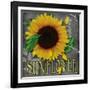 Sunflowers Chalkboard-Asmaa’ Murad-Framed Giclee Print