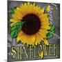 Sunflowers Chalkboard-Asmaa’ Murad-Mounted Giclee Print