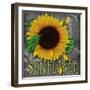 Sunflowers Chalkboard-Asmaa’ Murad-Framed Giclee Print