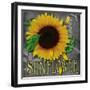 Sunflowers Chalkboard-Asmaa’ Murad-Framed Giclee Print