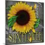 Sunflowers Chalkboard-Asmaa’ Murad-Mounted Giclee Print