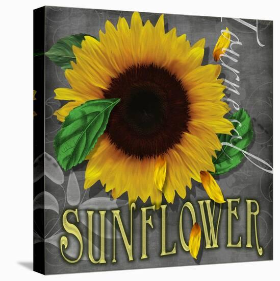 Sunflowers Chalkboard-Asmaa’ Murad-Stretched Canvas