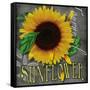 Sunflowers Chalkboard-Asmaa’ Murad-Framed Stretched Canvas