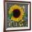 Sunflowers Chalkboard-Asmaa’ Murad-Framed Giclee Print