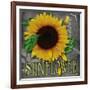 Sunflowers Chalkboard-Asmaa’ Murad-Framed Giclee Print