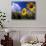 Sunflowers, Colorado, USA-Terry Eggers-Photographic Print displayed on a wall