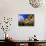 Sunflowers, Colorado, USA-Terry Eggers-Photographic Print displayed on a wall