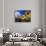 Sunflowers, Colorado, USA-Terry Eggers-Photographic Print displayed on a wall