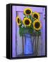 Sunflowers Displayed in Enamelware Pitcher, Willamette Valley, Oregon, USA-Steve Terrill-Framed Stretched Canvas