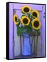 Sunflowers Displayed in Enamelware Pitcher, Willamette Valley, Oregon, USA-Steve Terrill-Framed Stretched Canvas