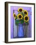 Sunflowers Displayed in Enamelware Pitcher, Willamette Valley, Oregon, USA-Steve Terrill-Framed Photographic Print