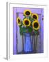 Sunflowers Displayed in Enamelware Pitcher, Willamette Valley, Oregon, USA-Steve Terrill-Framed Photographic Print