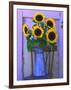 Sunflowers Displayed in Enamelware Pitcher, Willamette Valley, Oregon, USA-Steve Terrill-Framed Photographic Print