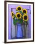 Sunflowers Displayed in Enamelware Pitcher, Willamette Valley, Oregon, USA-Steve Terrill-Framed Photographic Print