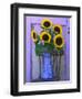 Sunflowers Displayed in Enamelware Pitcher, Willamette Valley, Oregon, USA-Steve Terrill-Framed Premium Photographic Print