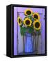 Sunflowers Displayed in Enamelware Pitcher, Willamette Valley, Oregon, USA-Steve Terrill-Framed Stretched Canvas