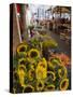 Sunflowers for Sale in Rialto Market, Venice, Veneto, Italy, Europe-Martin Child-Stretched Canvas