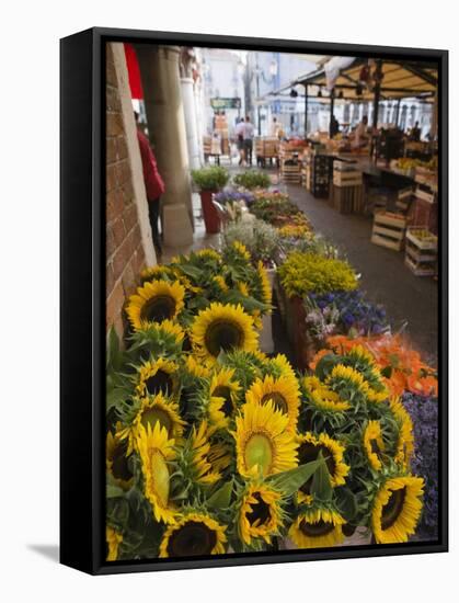 Sunflowers for Sale in Rialto Market, Venice, Veneto, Italy, Europe-Martin Child-Framed Stretched Canvas