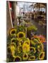 Sunflowers for Sale in Rialto Market, Venice, Veneto, Italy, Europe-Martin Child-Mounted Photographic Print