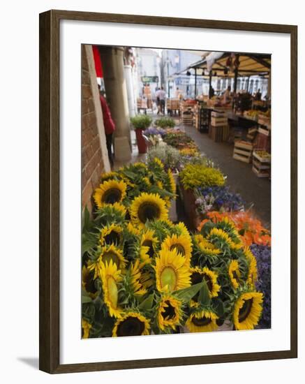 Sunflowers for Sale in Rialto Market, Venice, Veneto, Italy, Europe-Martin Child-Framed Photographic Print